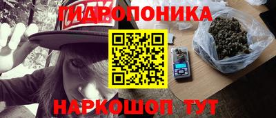 шишки Тулун