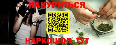 шишки Тулун