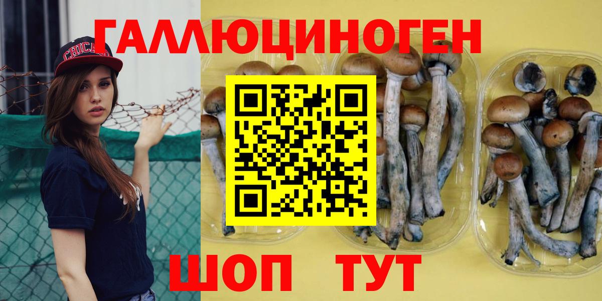 Галлюциногенные грибы GOLDEN TEACHER  Вход с VPN  Кизляр  купить наркоту  Галлюциногенные грибы прущие грибы 