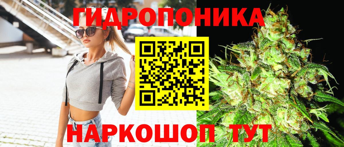 Конопля White Widow Кизляр